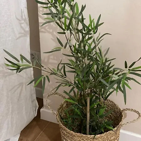 Mh Apartment, Free Parking, Flexible Check In *